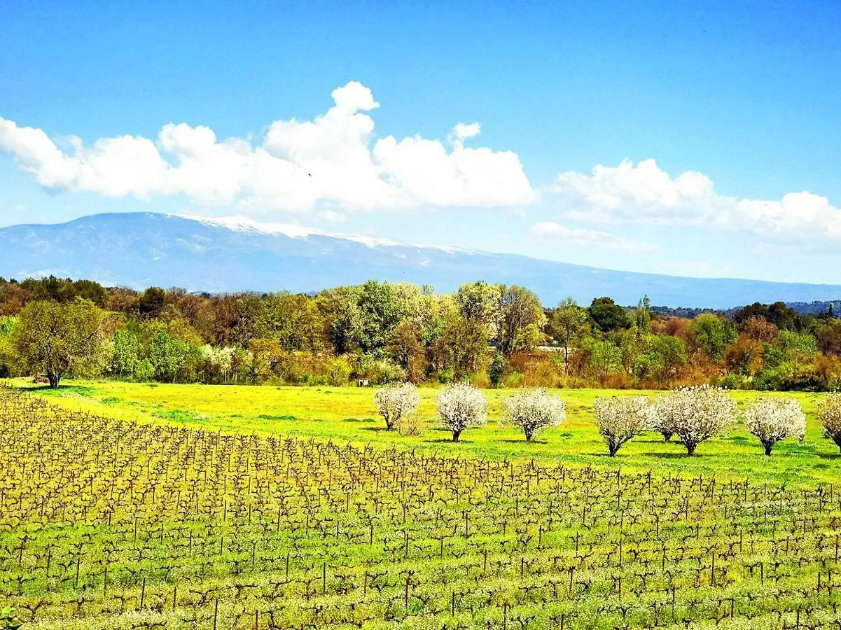 Domaine De La Brave Panzió Pernes-les-Fontaines 3*,